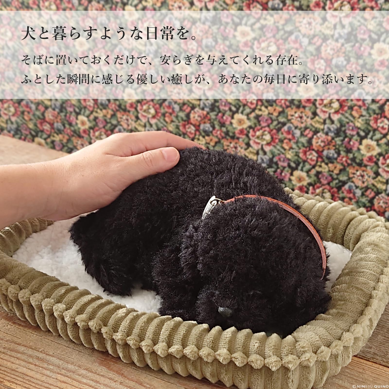 Amazon.co.jp: ニニアンドキノ パーフェクトペット (小サイズ) トイ